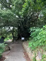 生樹の御門の写真・動画_image_460521