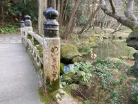 成田山公園の写真・動画_image_460540