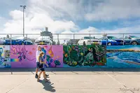 Bondi Beach Graffiti Wallの写真・動画_image_461045