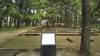 浜の宮公園の写真・動画_image_462501