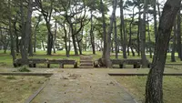 浜の宮公園の写真・動画_image_462502