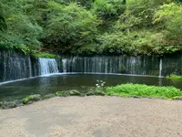 白糸の滝の写真・動画_image_463589
