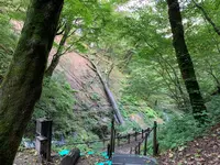 白糸の滝の写真・動画_image_463592