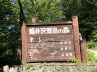 軽井沢野鳥の森の写真・動画_image_463613