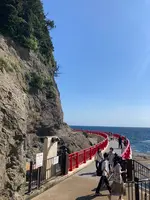 江の島岩屋の写真・動画_image_465374