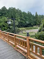 田村神社石鳥居の写真・動画_image_465575