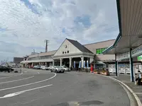 松山駅の写真・動画_image_468095