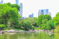 The Loeb Boathouse Central Parkの写真・動画_image_468848