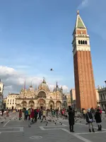 Piazza San Marco （サン・マルコ広場）の写真・動画_image_469558