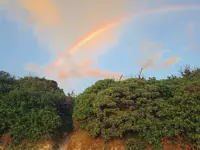 長間浜の写真・動画_image_470034