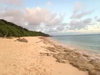 長間浜の写真・動画_image_470036