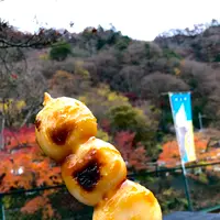 袋田の滝の写真・動画_image_470364