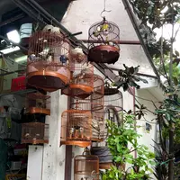 Yuen Po Street Bird Gardenの写真・動画_image_470572