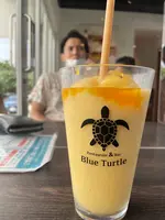 ブルータートル[Blue Turtle]の写真・動画_image_472115