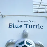 ブルータートル[Blue Turtle]の写真・動画_image_472116