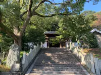 東雲神社の写真・動画_image_472444