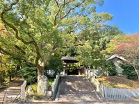 東雲神社の写真・動画_image_472446