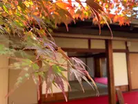松山城二之丸史跡庭園の写真・動画_image_472519