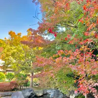 松山城二之丸史跡庭園の写真・動画_image_472540