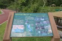 轟の滝の写真・動画_image_474578