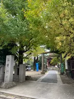 青山熊野神社の写真・動画_image_476118