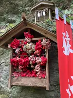中山神社の写真・動画_image_477182