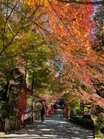今熊野観音寺の写真・動画_image_478404