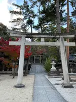 今宮神社の写真・動画_image_478431
