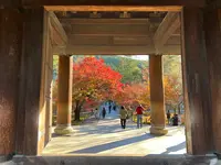 南禅寺の写真・動画_image_479027