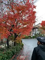 人力車のえびす屋 京都嵐山總本店の写真・動画_image_479371