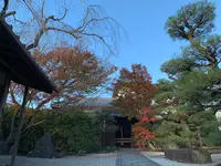 東福寺　光明院の写真・動画_image_479471