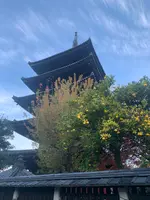 法観寺 八坂の塔の写真・動画_image_479609