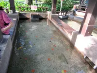 礁渓温泉公園の写真・動画_image_479653