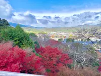 嵐山の写真・動画_image_479958