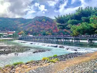 嵐山の写真・動画_image_479961