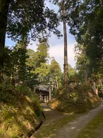 諏訪神社の写真・動画_image_480039