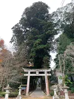 諏訪神社の写真・動画_image_480040