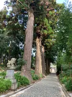 諏訪神社の写真・動画_image_480041