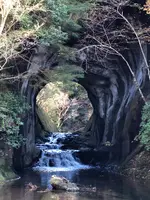 亀岩の洞窟の写真・動画_image_480388