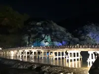 渡月橋の写真・動画_image_482027