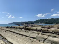 竜串海岸の写真・動画_image_482226