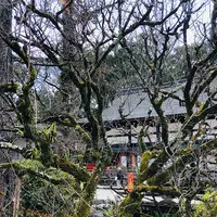 下鴨神社（賀茂御祖神社）の写真・動画_image_483942