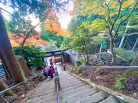 大山阿夫利神社の写真・動画_image_484372