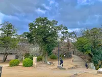 丸亀城の写真・動画_image_485083