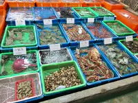 富基漁港の写真・動画_image_485503