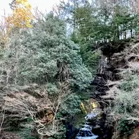 濃溝の滝の写真・動画_image_485551
