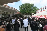 護国神社の写真・動画_image_485884