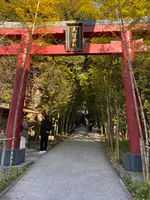 來宮神社の写真・動画_image_486767