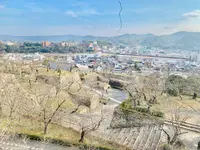 津山城跡の写真・動画_image_486952