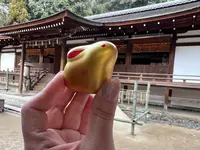 宇治上神社の写真・動画_image_488023